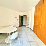 Rent 1 bedroom apartment of 42 m² in Lodi