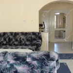 Rent 3 bedroom apartment of 65 m² in Békéscsaba