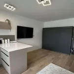 Rent 1 bedroom apartment of 34 m² in munich