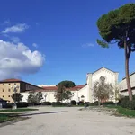 Rent 2 bedroom apartment of 50 m² in Firenze