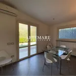 Rent 5 bedroom house of 150 m² in Pietrasanta