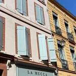 Rent 1 bedroom apartment of 26 m² in Toulouse