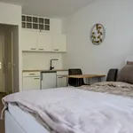 Rent 1 bedroom apartment of 22 m² in München