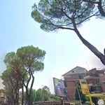 Affitto 1 camera appartamento di 30 m² in Roma