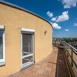 Rent 4 bedroom apartment of 146 m² in Prague