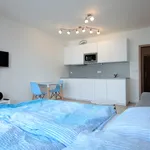 Rent 1 bedroom apartment of 35 m² in Prague