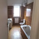 Rent 3 bedroom apartment of 100 m² in Roma