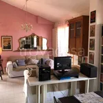 Rent 2 bedroom apartment of 46 m² in Numana