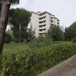 Rent 2 bedroom apartment of 40 m² in Follonica