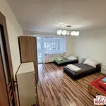 Rent 1 bedroom house of 260 m² in Włocławek