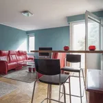 46 m² Studio in berlin