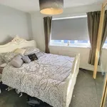 Rent 3 bedroom house in North East England