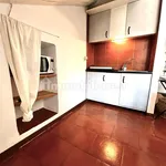 Rent 1 bedroom apartment of 28 m² in Turin