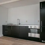 Rent 4 bedroom apartment of 149 m² in Willemspark