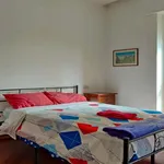 Rent a room of 90 m² in Milan