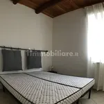 Rent 3 bedroom apartment of 70 m² in Bologna