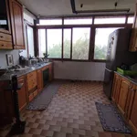 Rent 5 bedroom apartment of 120 m² in Messina