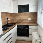 Rent 1 bedroom apartment of 32 m² in Praha