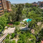 Rent 7 bedroom apartment in Madrid