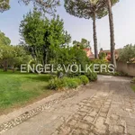 Rent 12 bedroom house of 500 m² in Formello