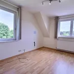 Huur 4 slaapkamer huis van 2500 m² in Ohain