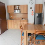 Rent 1 bedroom apartment of 40 m² in Busto Arsizio