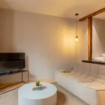 Rent 1 bedroom apartment of 343 m² in Madrid