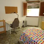 Rent a room in cordoba