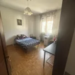 Rent 3 bedroom apartment of 130 m² in padova