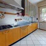 Rent 3 bedroom apartment of 100 m² in Perugia