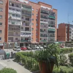 Rent a room in madrid