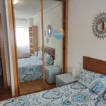 Alquilo 2 dormitorio apartamento de 66 m² en Salamanca