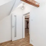 Rent 4 bedroom apartment in Plzeň-jih