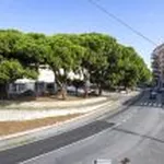 Rent 2 bedroom apartment of 61 m² in Rome