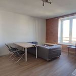  appartement avec 1 chambre(s) en location à LIMOGES