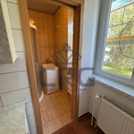 Rent 3 bedroom apartment of 67 m² in Modřice