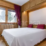 Rent 2 bedroom apartment of 65 m² in Cortina d'Ampezzo