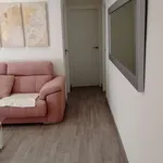 Rent 1 bedroom apartment in granada