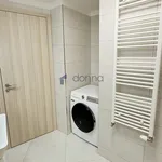 Rent 2 bedroom apartment in Praha 4