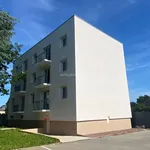 Rent 3 bedroom apartment of 66 m² in Pont-Péan