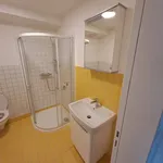 Rent 2 bedroom apartment in Brno venkov