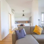 Rent 1 bedroom apartment in Milano