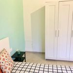 Rent a room in Firenze