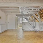 Rent 3 bedroom apartment of 130 m² in Leiden