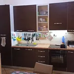 Rent 2 bedroom apartment of 50 m² in Colonna