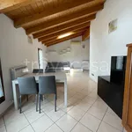 Rent 2 bedroom apartment of 50 m² in Lissone