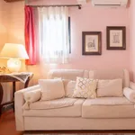 Rent 2 bedroom apartment of 45 m² in florence