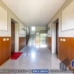 2-room flat via Umbria 14, San Bovio San Felice, Peschiera Borromeo