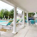 Rent 1 bedroom apartment in Lexington