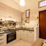 Rent 1 bedroom apartment of 30 m² in Bologna